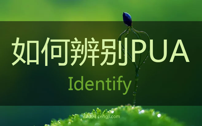 如何辨别pua