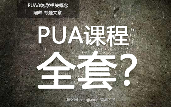 pua课程全套