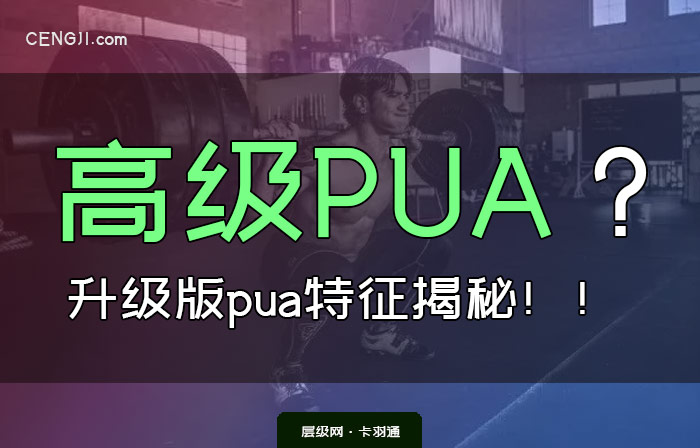 高级pua的解释