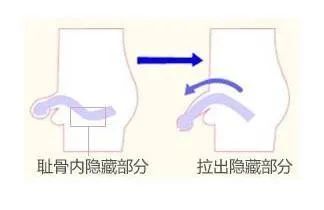 达到增长的效果