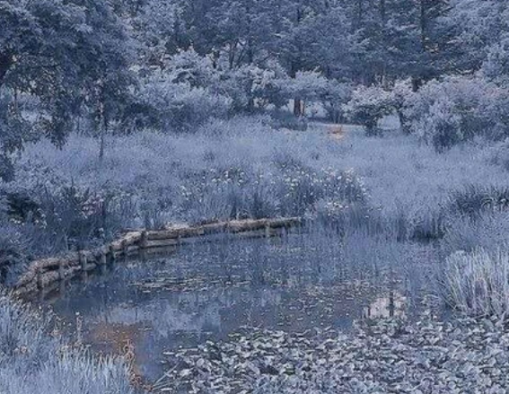 女朋友开始腻了的表现