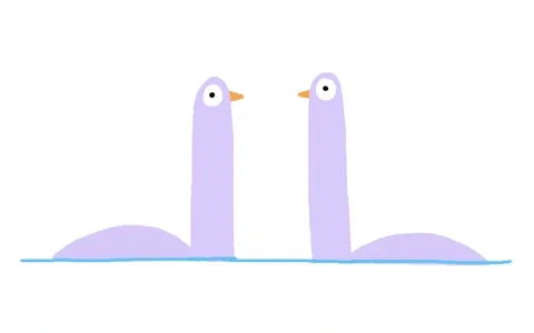 又到了交配的季节