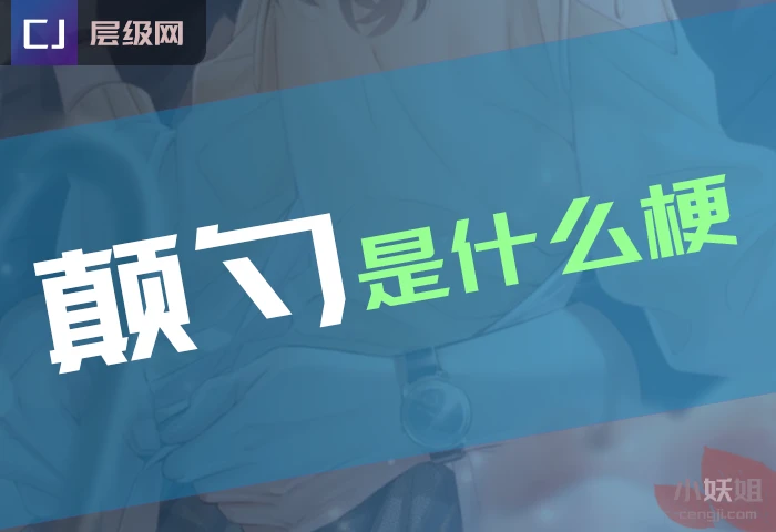 颠勺的梗图