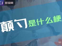 颠勺是什么梗？颠勺的隐晦意思 男女